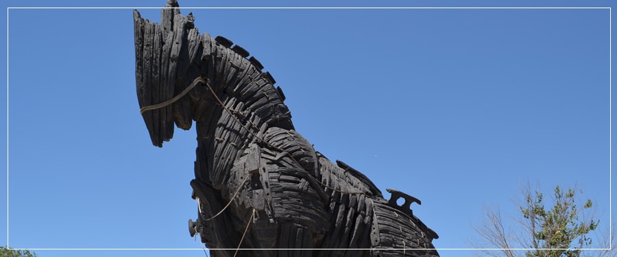 Canakkale Port Tours (Shore Excursions) : Private Tour to Troia Ancient City, Trojan Horse